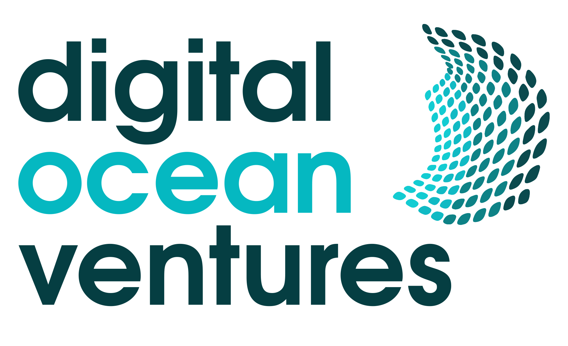 Digital Ocean Ventures